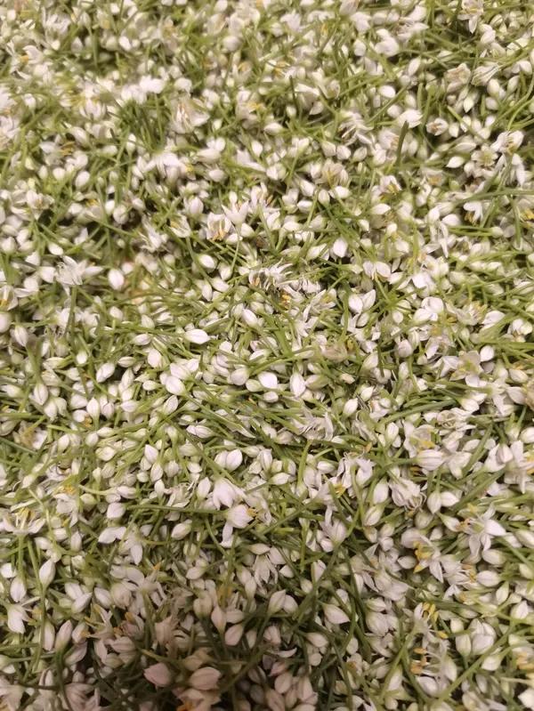 新鲜韭菜花酱