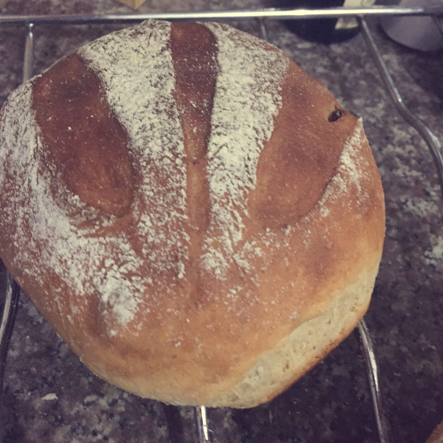 红茶葡萄干（仿原麦山丘/汤种）Earl Grey flavored bread filled with raisins