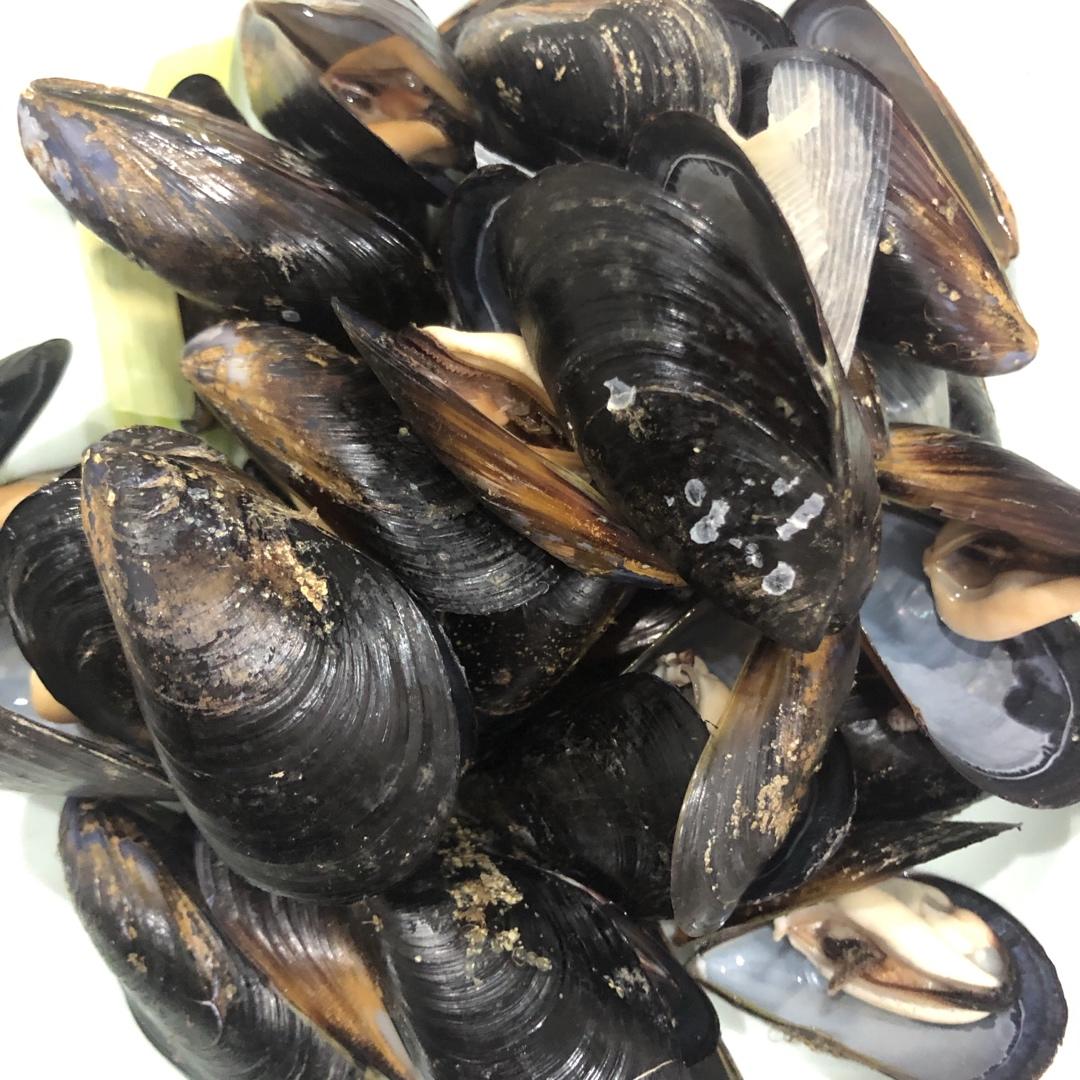 青口·淡菜🧐增强体质