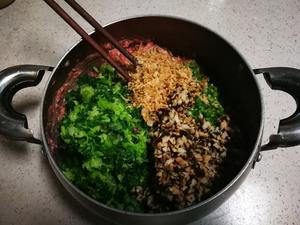 青菜香菇猪肉饺子的做法 步骤7