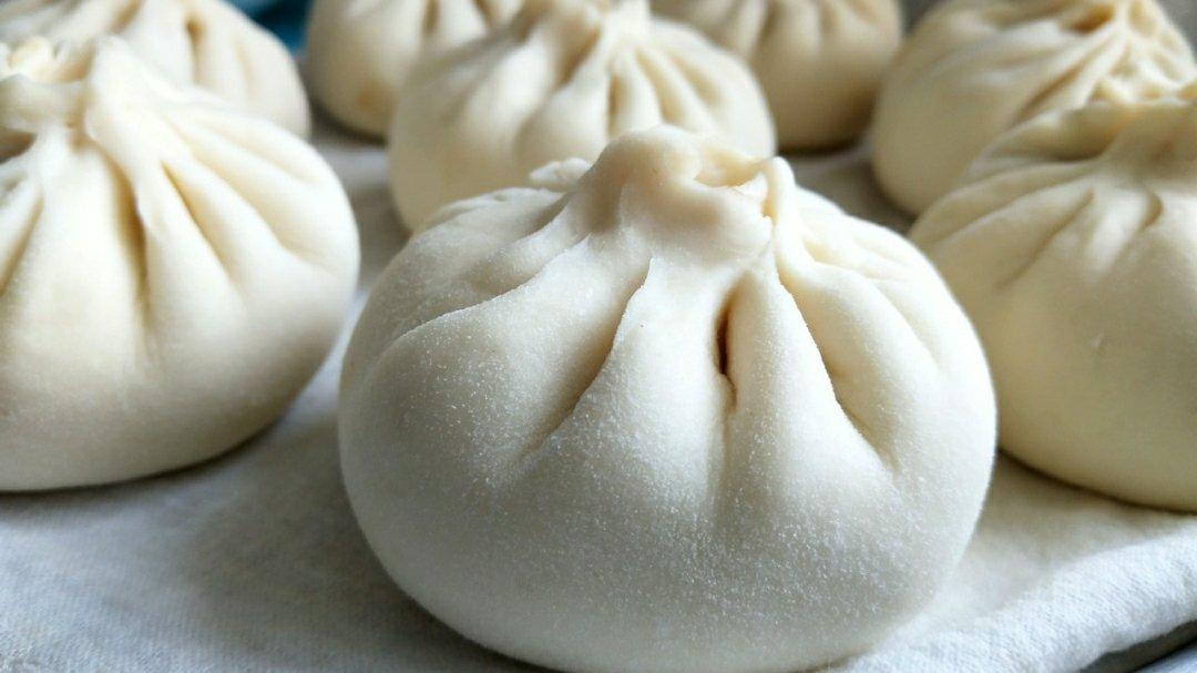 堂妈教你山菜鲜肉大包子