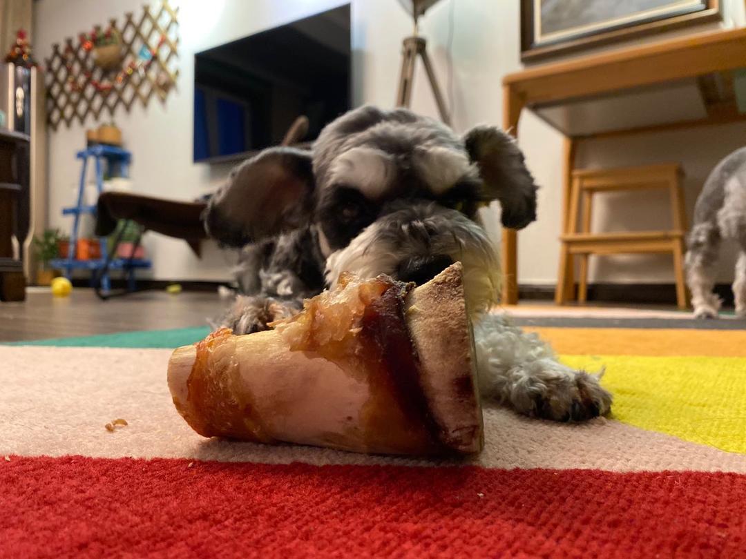 牛骨磨牙棒 狗狗零食的做法步骤图 小荨尼 下厨房