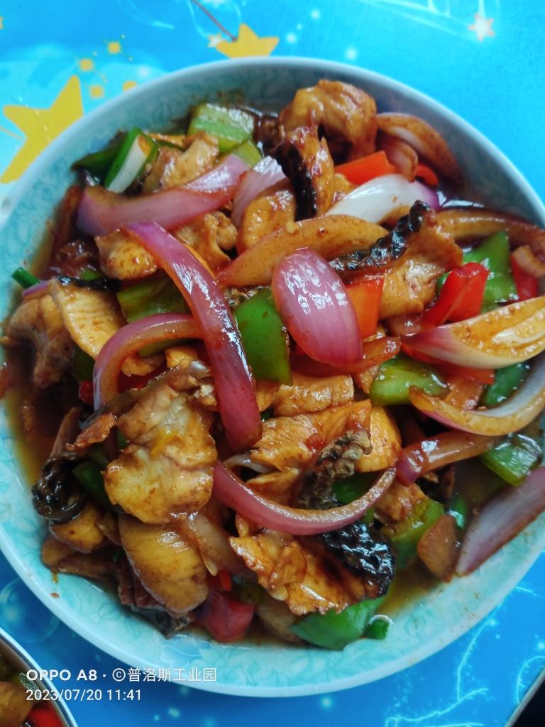 午餐•2023年7月20日