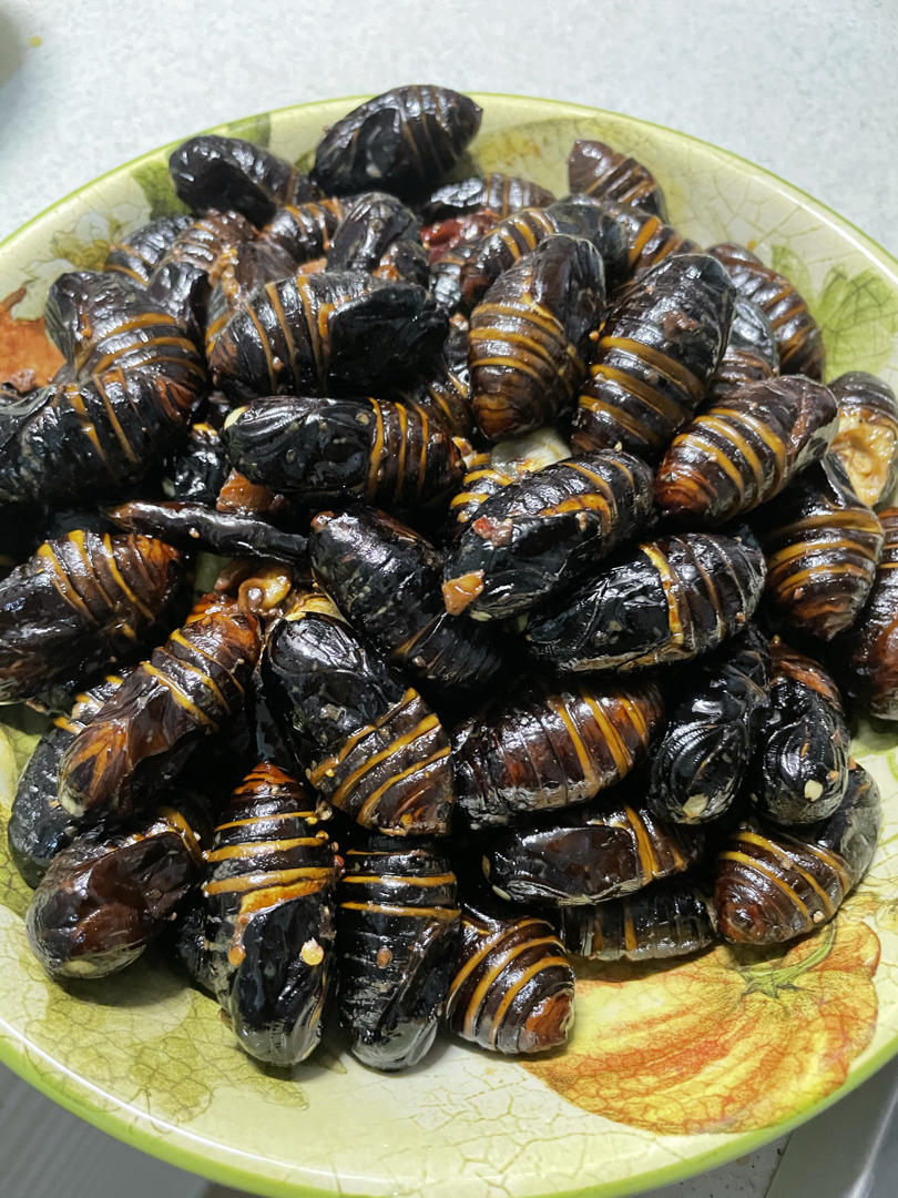 家常炒茧蛹