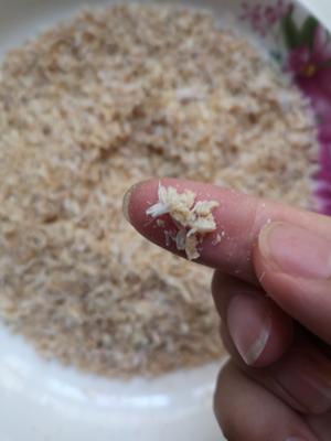 宝宝辅食补钙虾皮粉的做法 步骤3