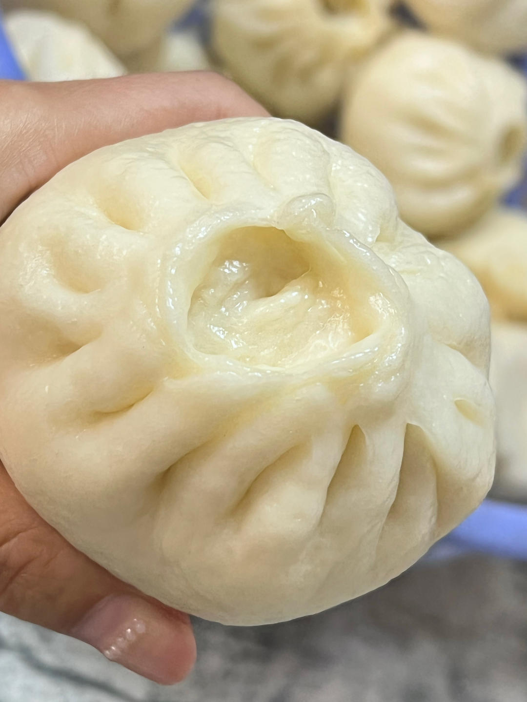 快手包包子/新手小白轻松制/柏翠面包机