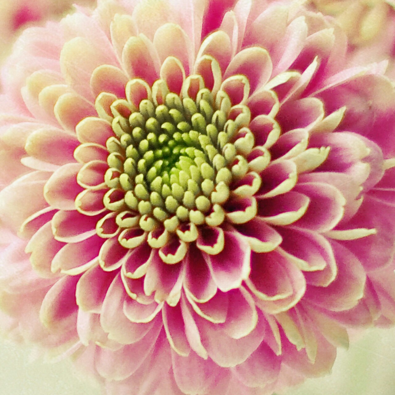 手机用户0986_859b