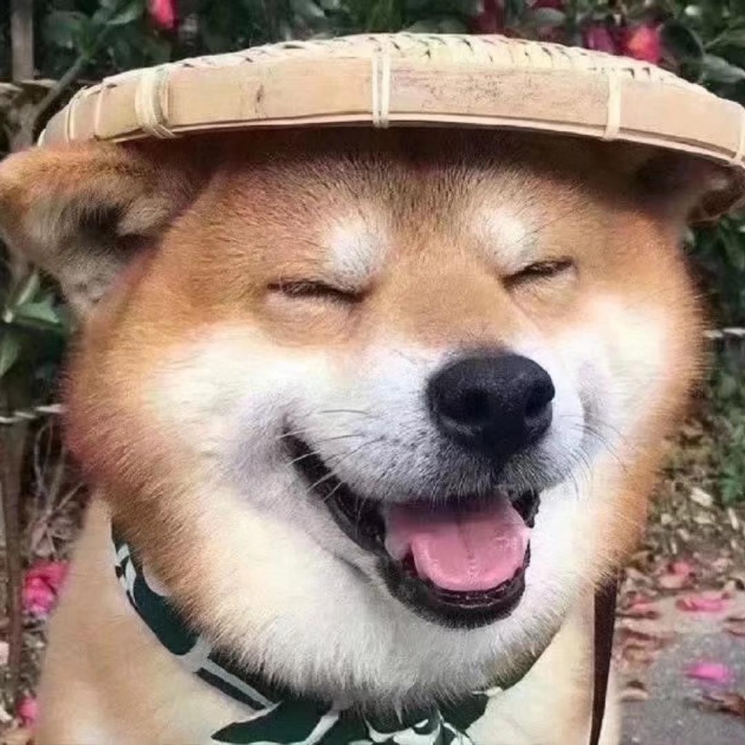 山阳大都督