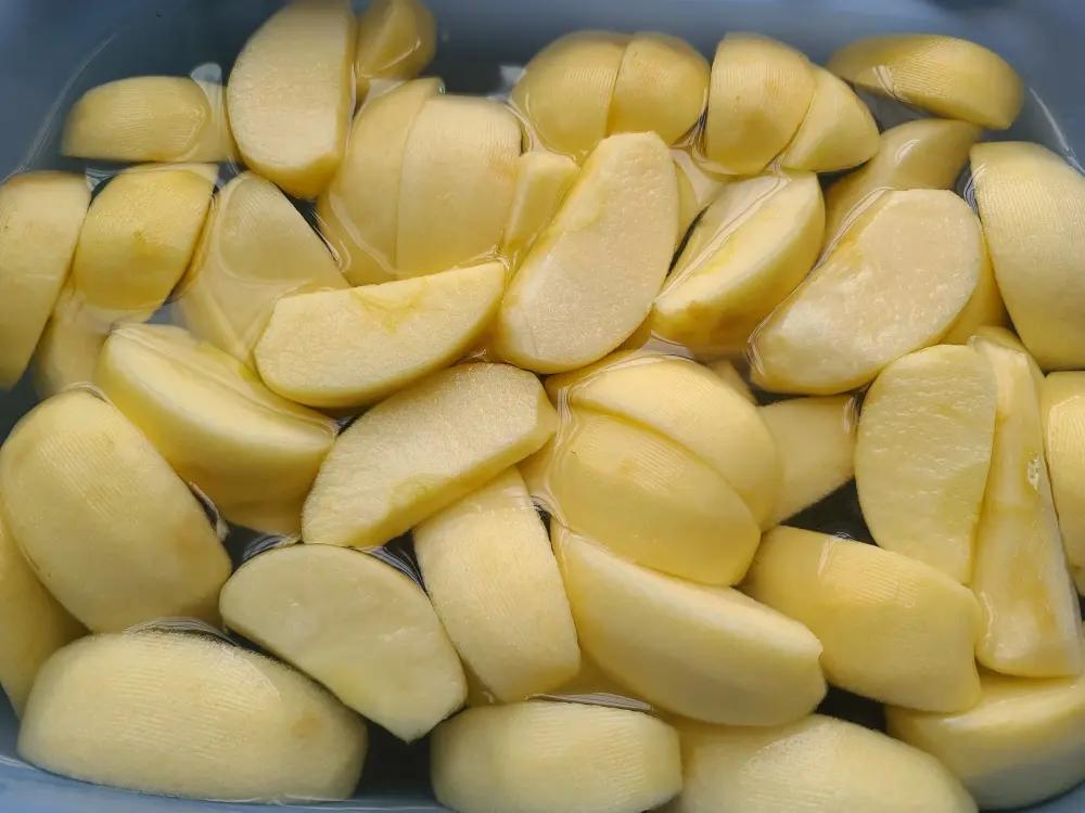 🪷消耗苹果做苹果干「空气炸锅」