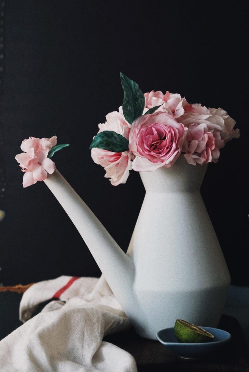 相机吃的菜哦(◍•ᴗ•◍)