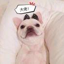 jieying大佬