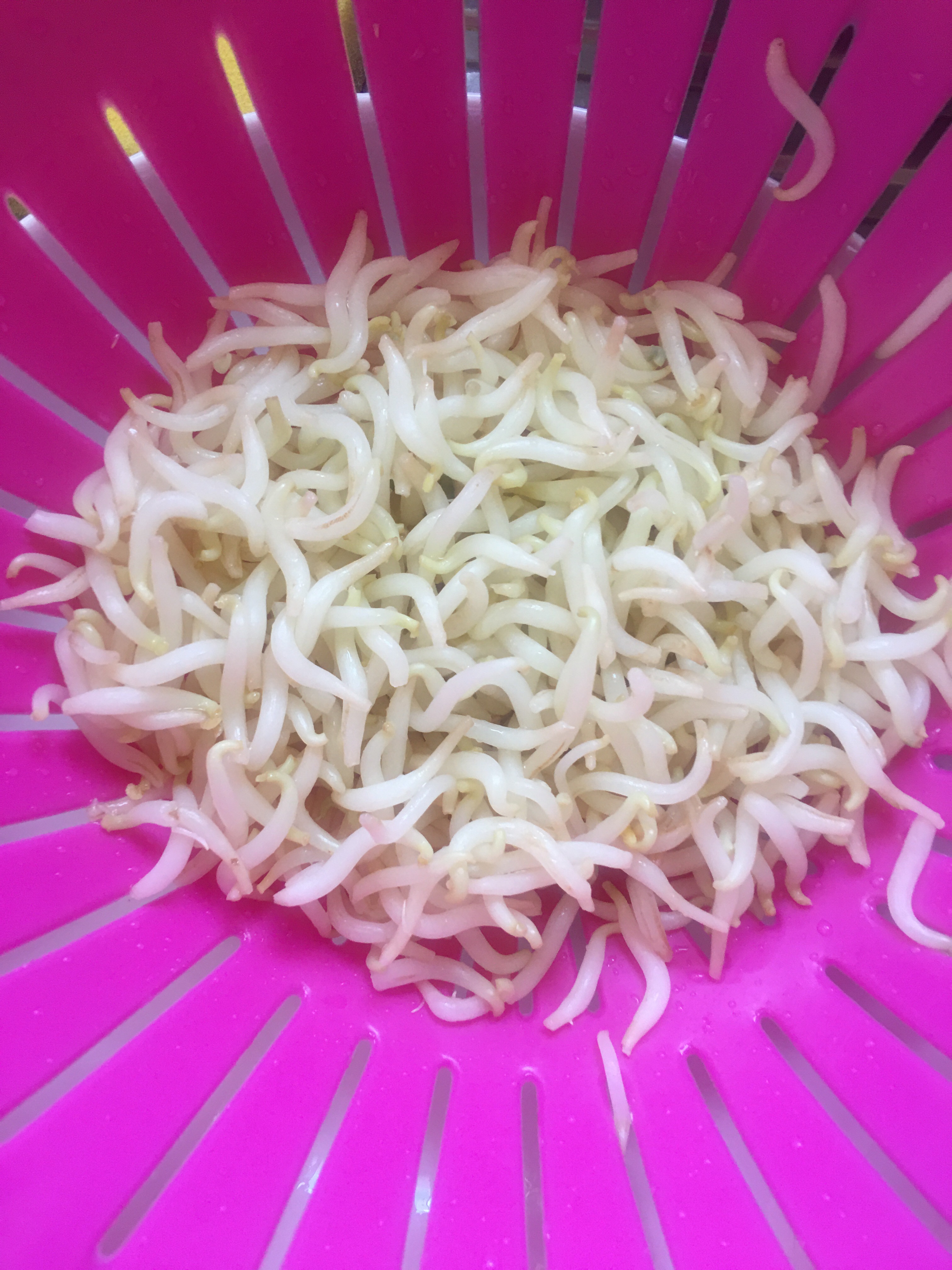 韭菜豆芽水煎包的做法