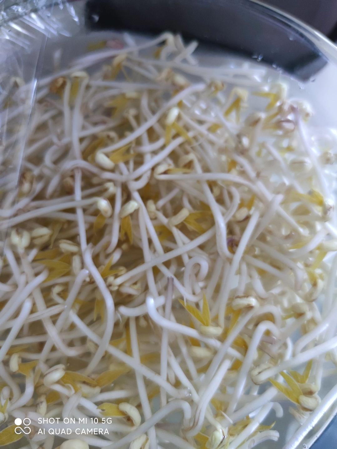 健康发豆芽丨保姆级教程