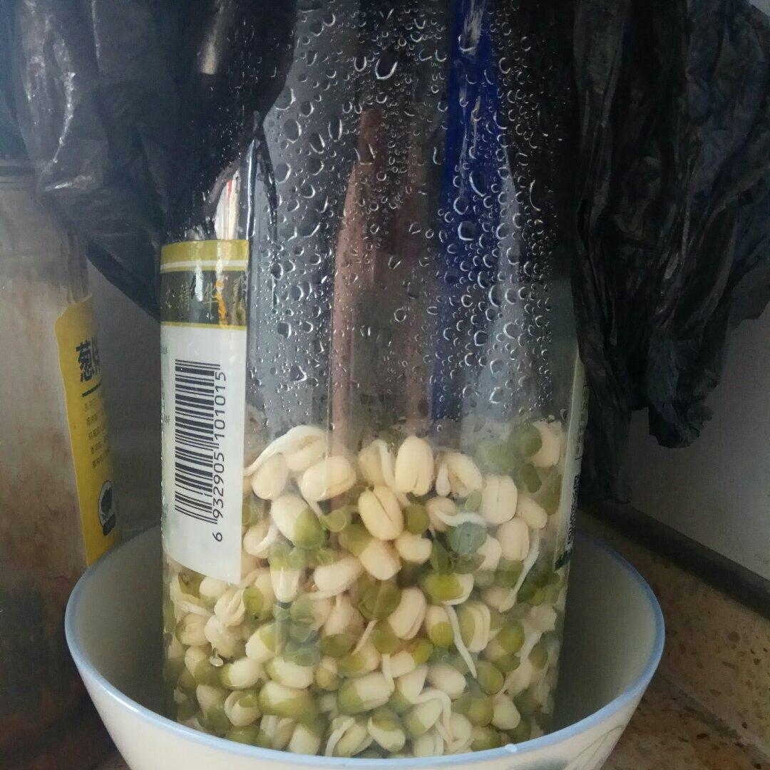 自发豆芽（可乐瓶发豆芽0失败！）