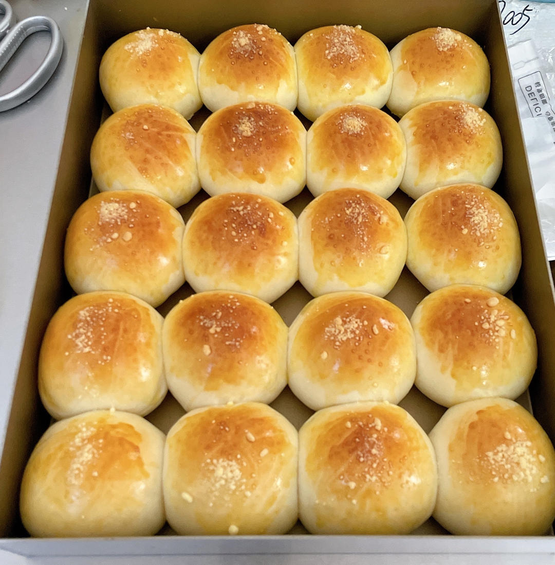 鲜奶油小餐包（一次发酵）