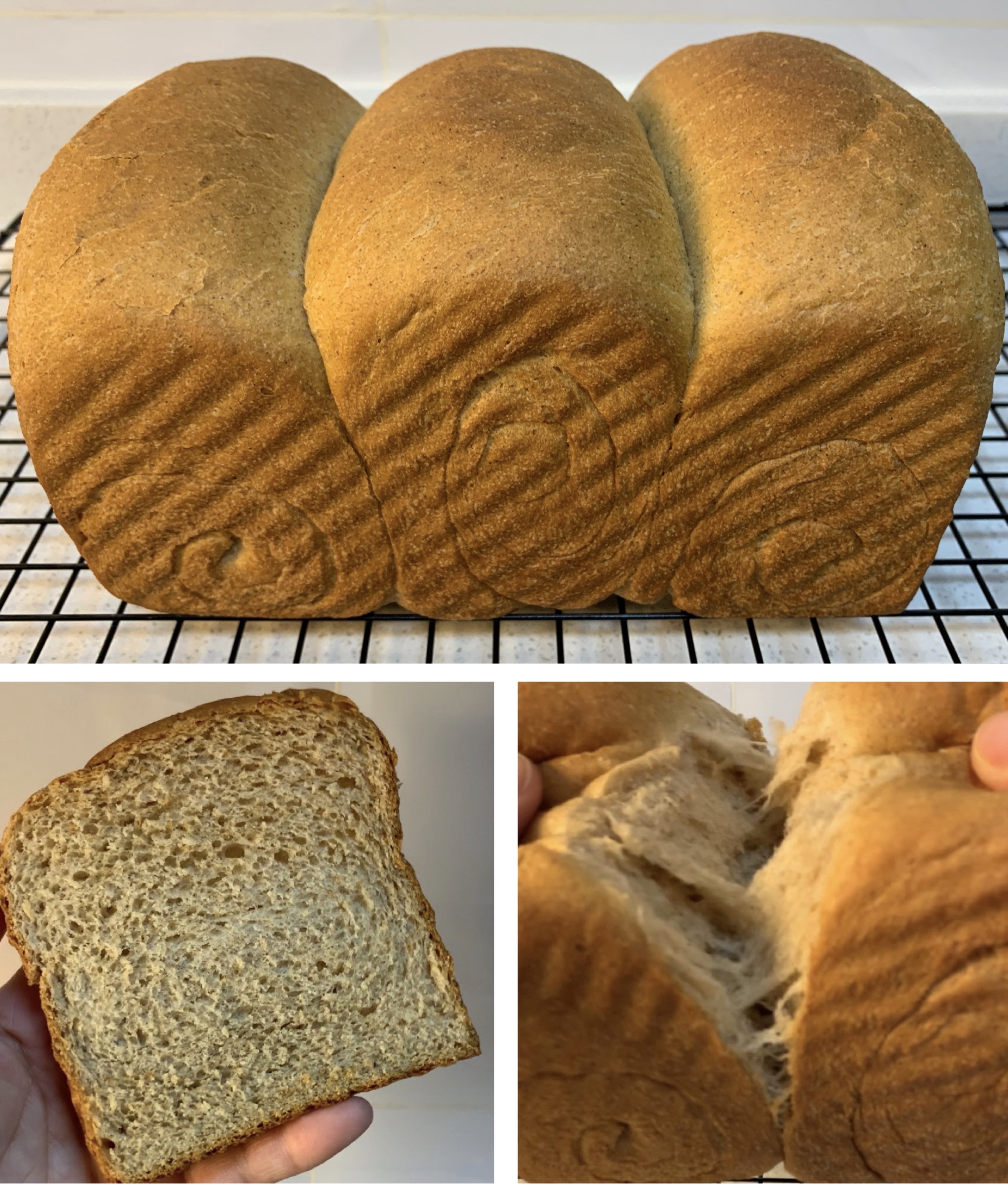 全网最简单的全麦面包的做法