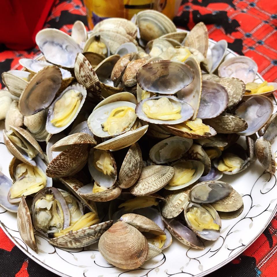 wy33做的清蒸花蛤