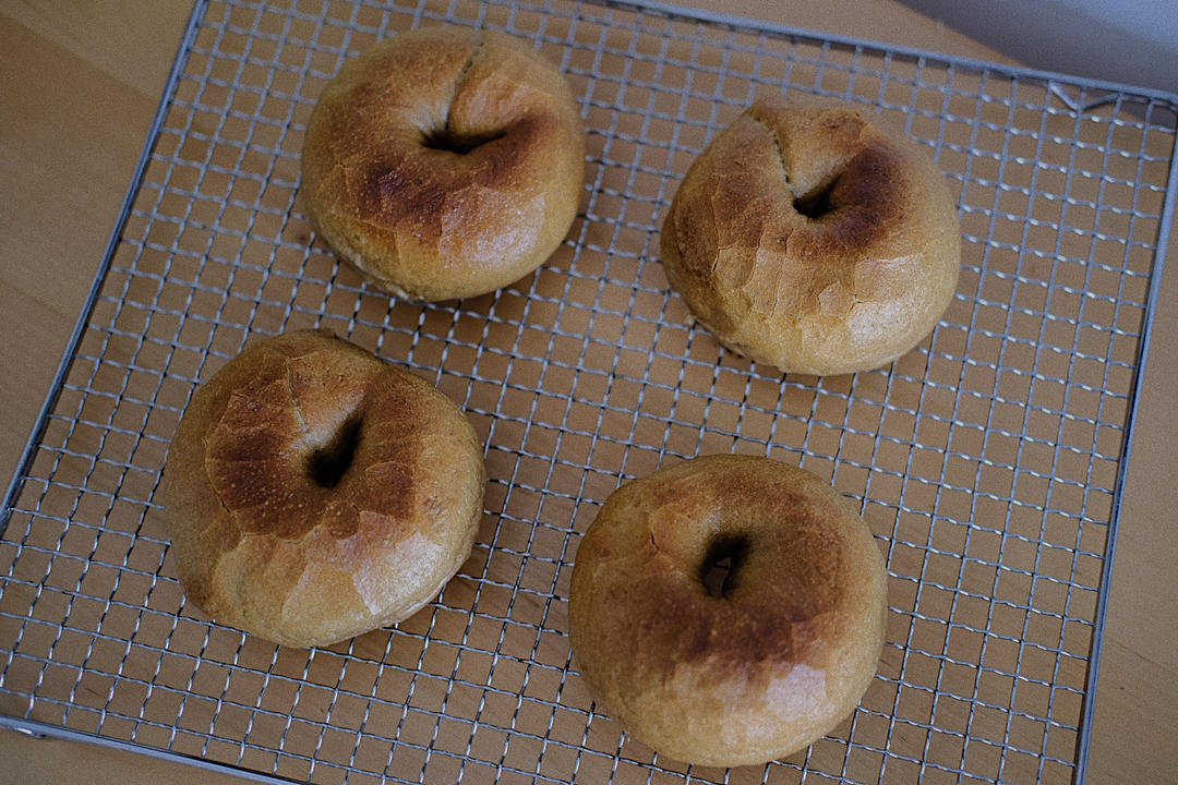 基础黑麦贝果（黑麦波兰种）