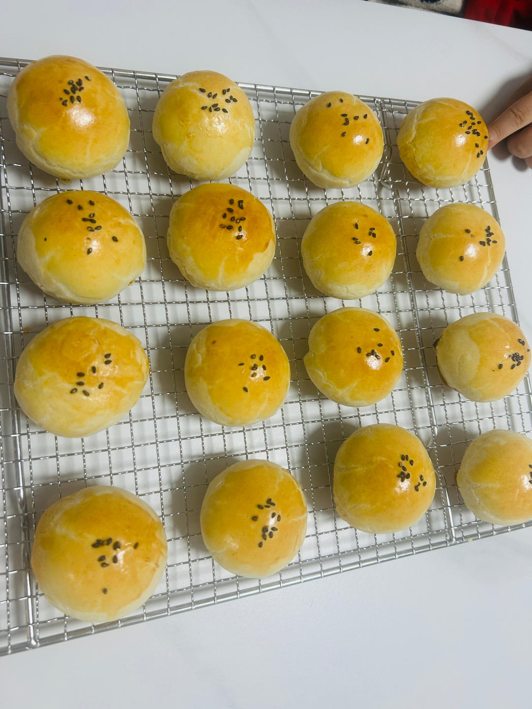 蛋黄酥&网红麻薯蛋黄酥---半圆天地盖包装调整方