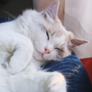 手机用户9115_5iok