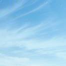 手机用户9149_l19c