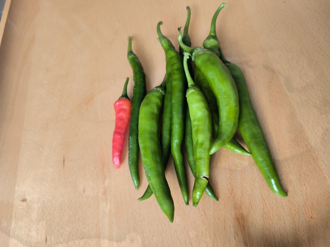 清炖羊蝎子火锅