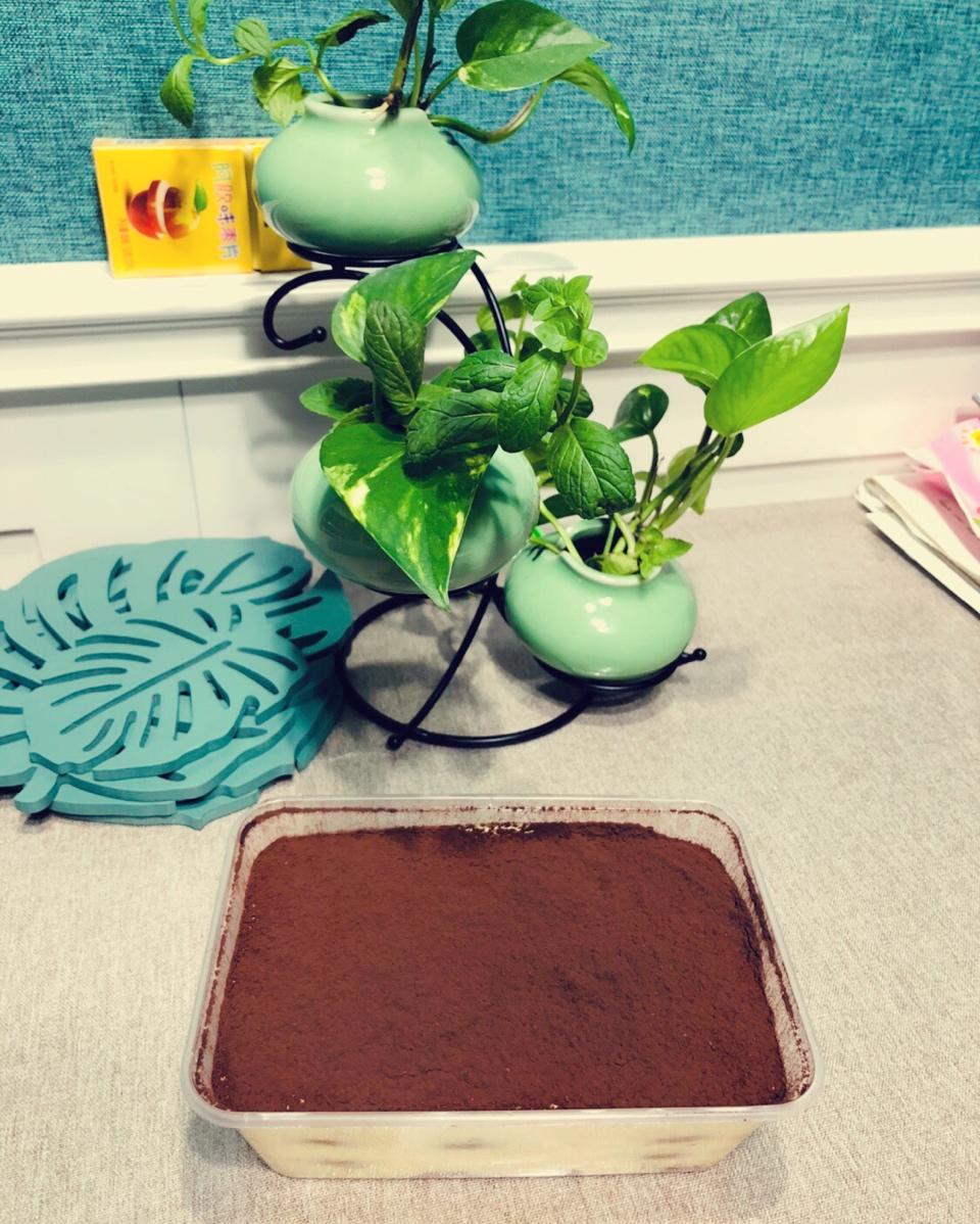 意大利传统提拉米苏Tiramisù Classico