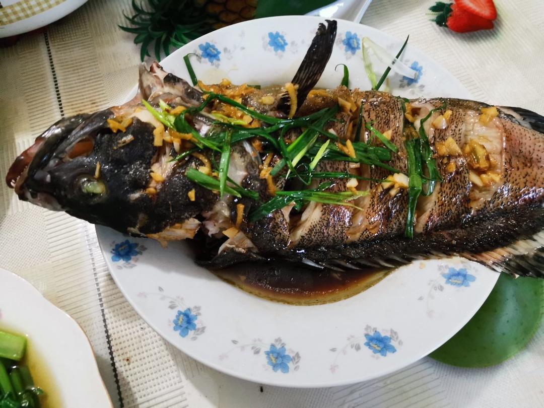 和酒店一模一样的清蒸老虎斑鲜嫩！