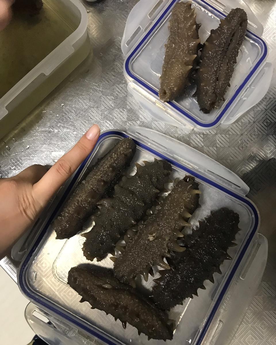 四天海参泡发攻略
