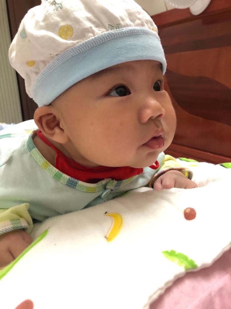 小小厨师长Y