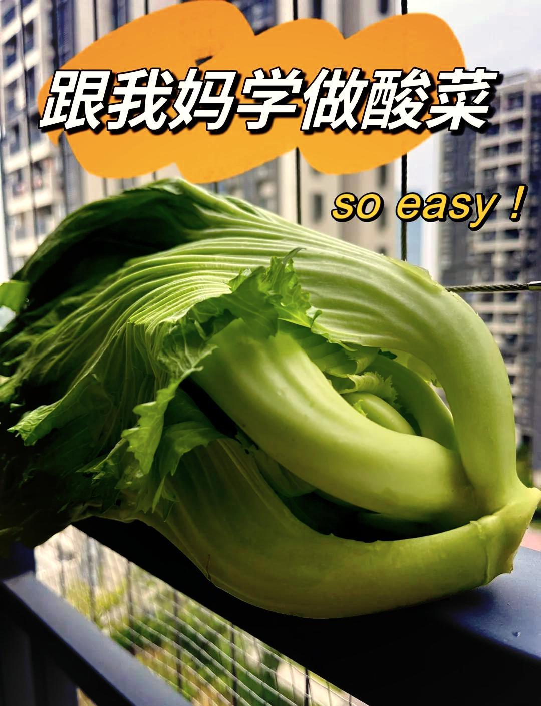 🥬芥菜变酸菜，轻松两步走！
🌿想要品尝地道的客家水渌菜吗？跟着我做，简单又美味！