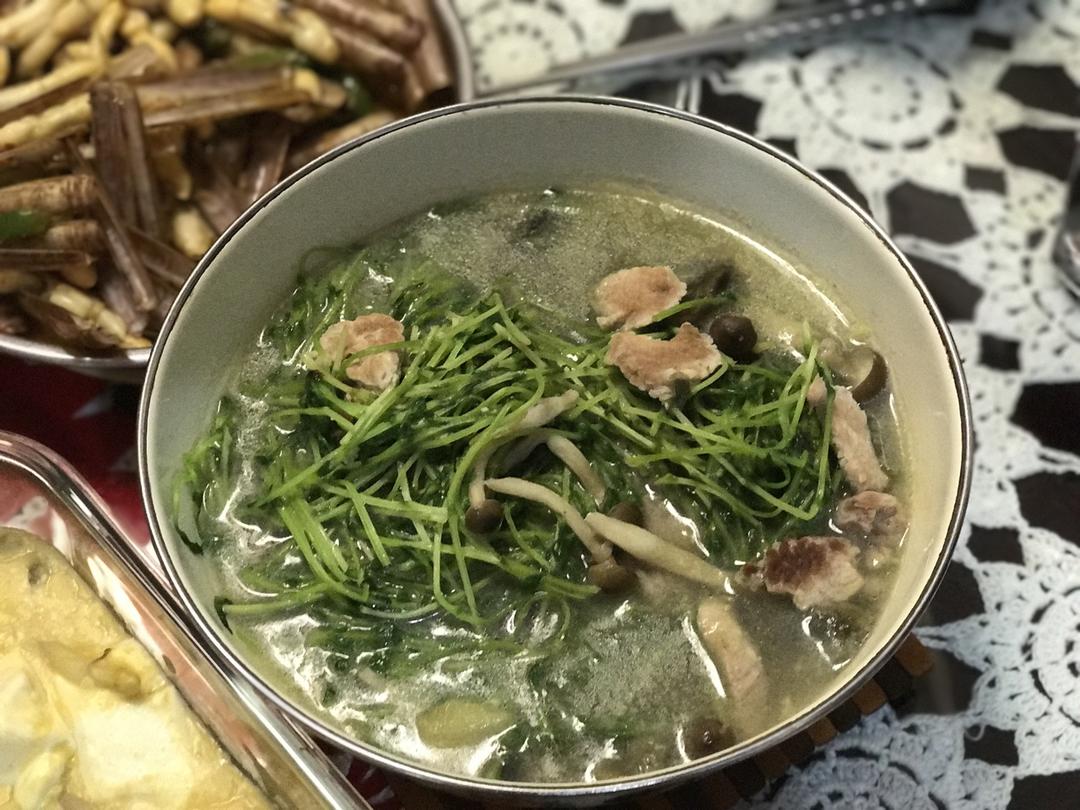 上汤豆苗