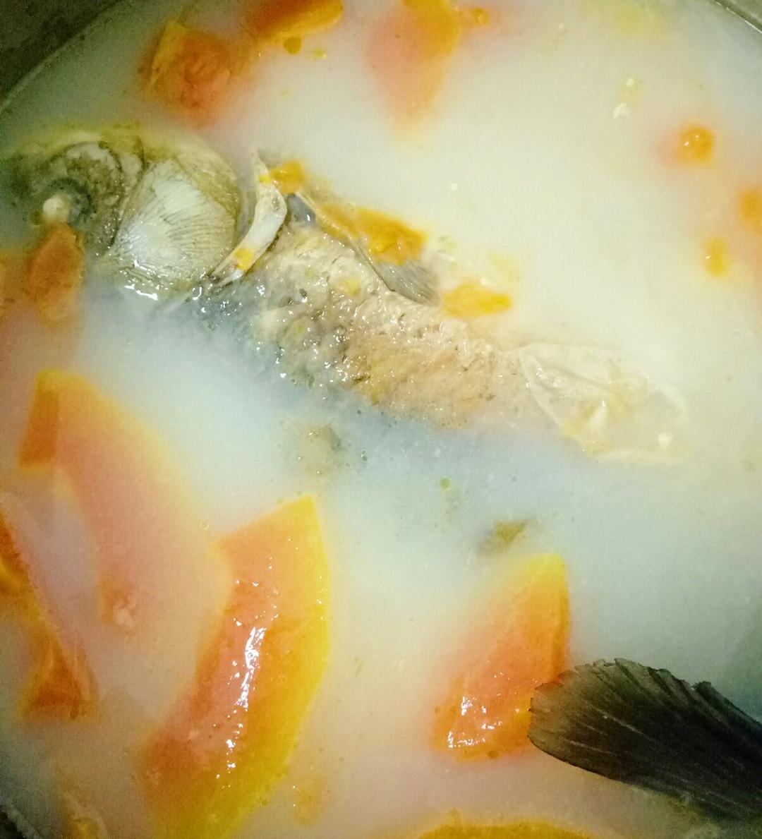 戴花猫叔做的木瓜鲫鱼汤