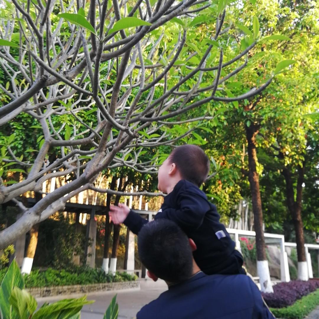 小熊来学厨_1b92