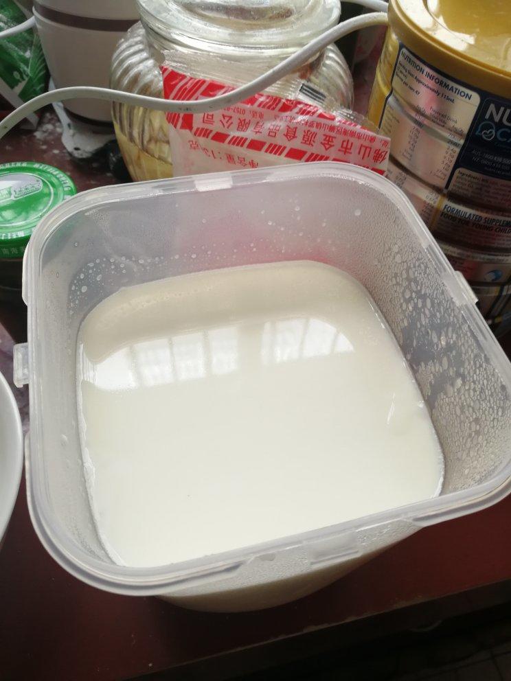 美的面包机做美味酸奶
