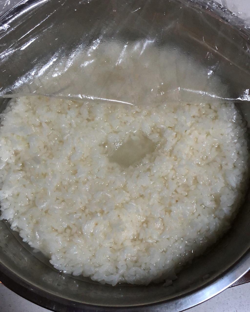 酒酿 (酒酿系列一）