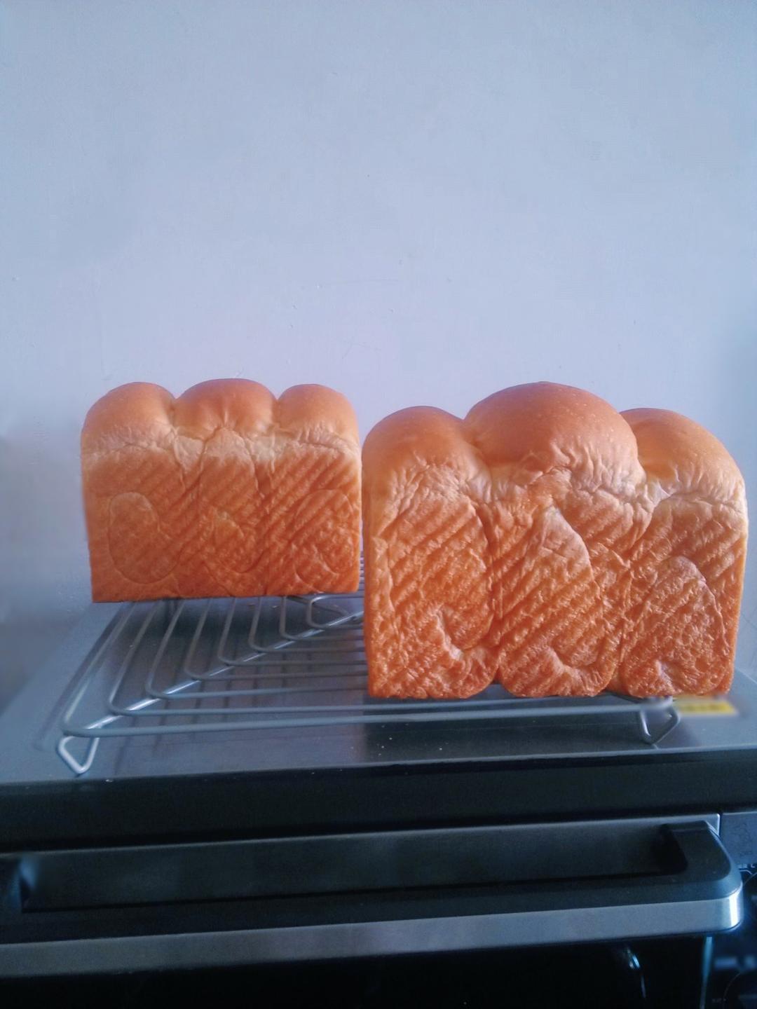 提子土司（柏翠面包机PE6280）自用方子