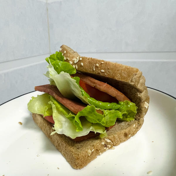 🥪三明治的神仙吃法 l好吃且简单、健康有营养
