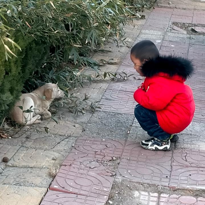 饭小粒粒的厨房