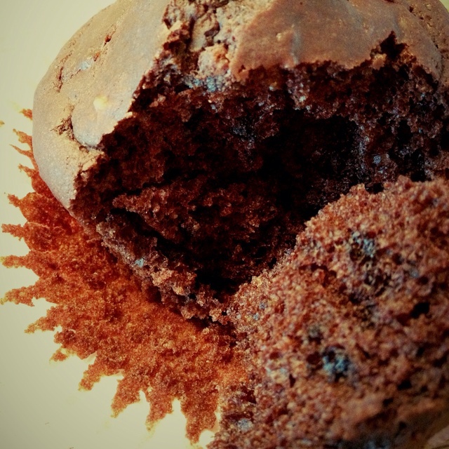 Chocolate Muffin--巧克力麦芬