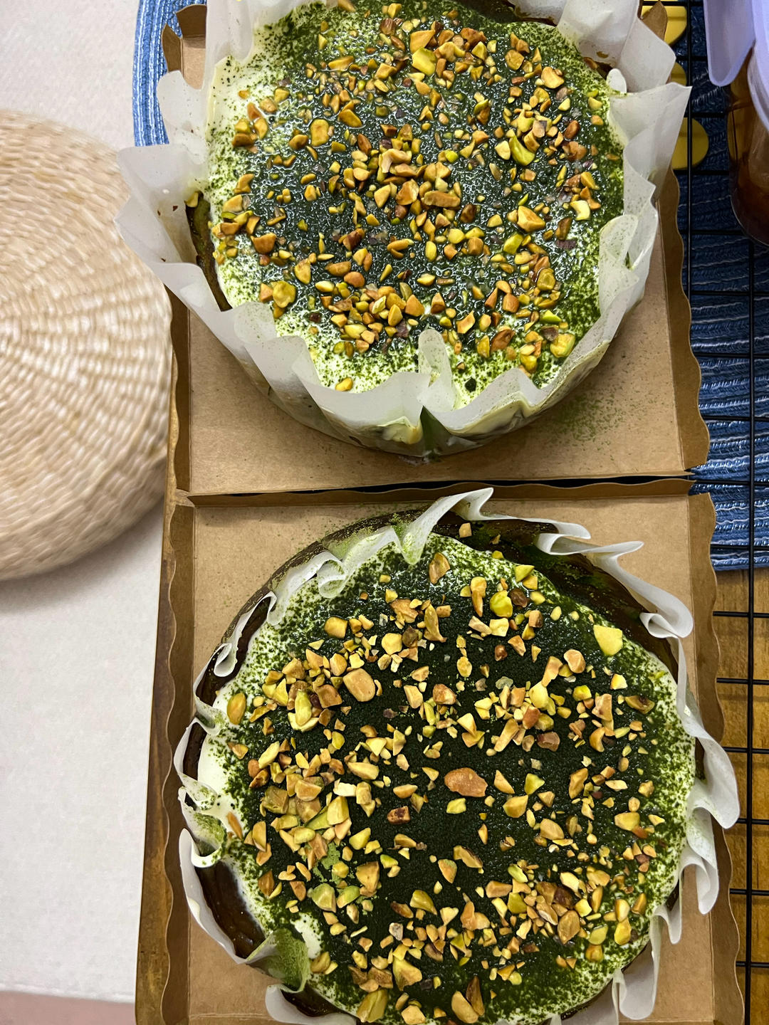开心果巴斯克