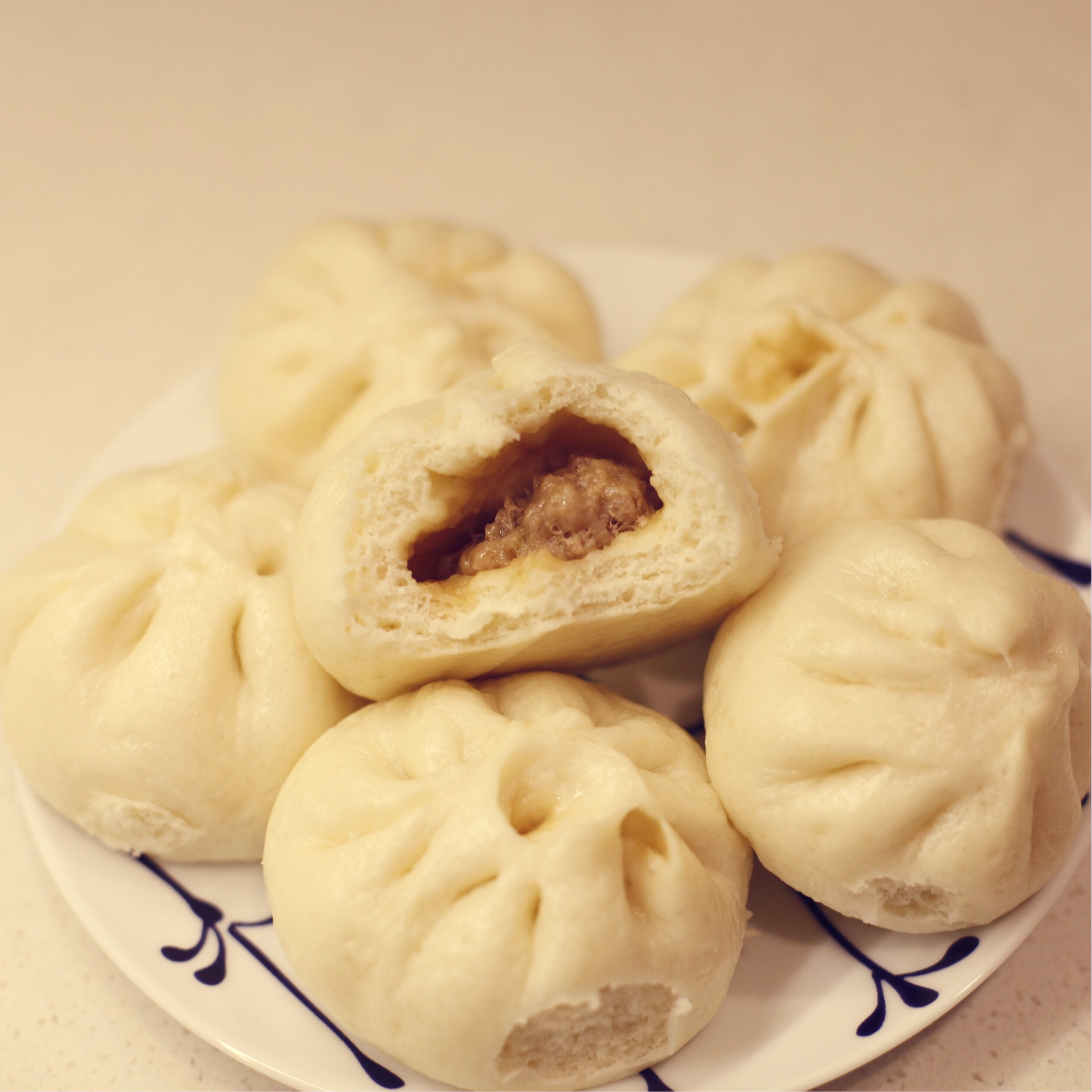 ~肉包子~多汁、松软包子君的制作攻略