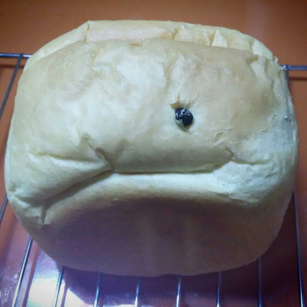 面包机版鲜奶吐司