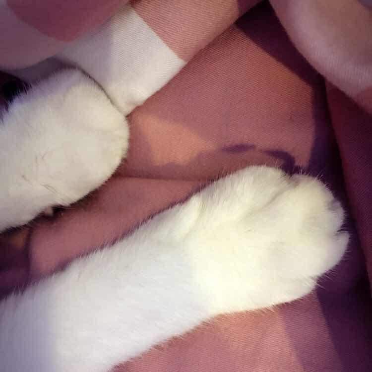 很小很小的小纸杯吖
