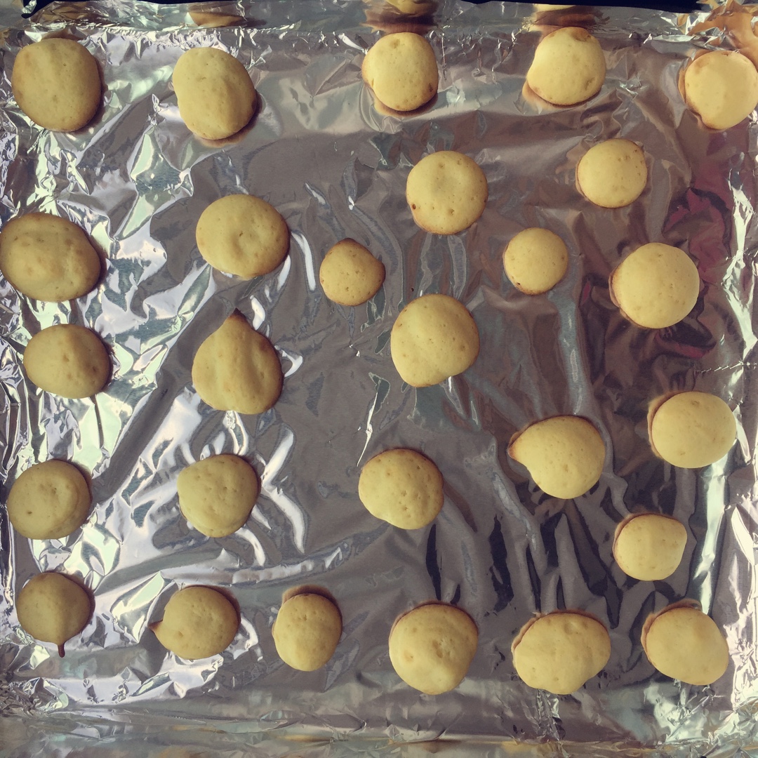 婴儿辅食版蛋奶小饼干（简单快手）