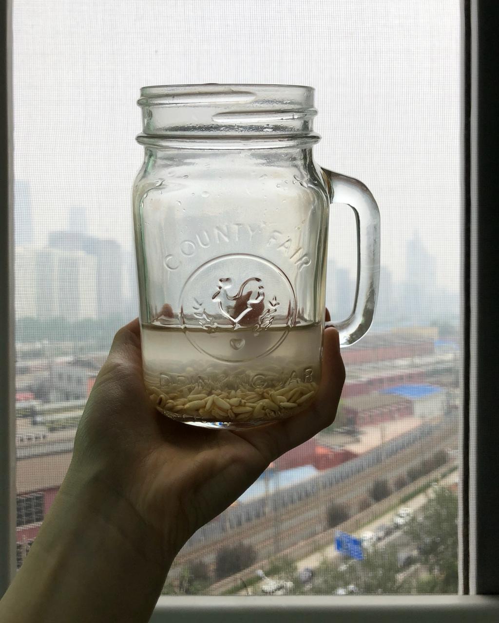 Rejuvelac发芽谷物益生菌水丨发酵·饮品