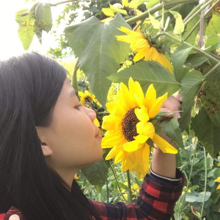 晴天宇天