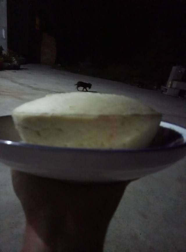 不用烤箱和电饭煲做蛋糕