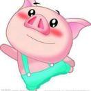 不愿意做饭的人