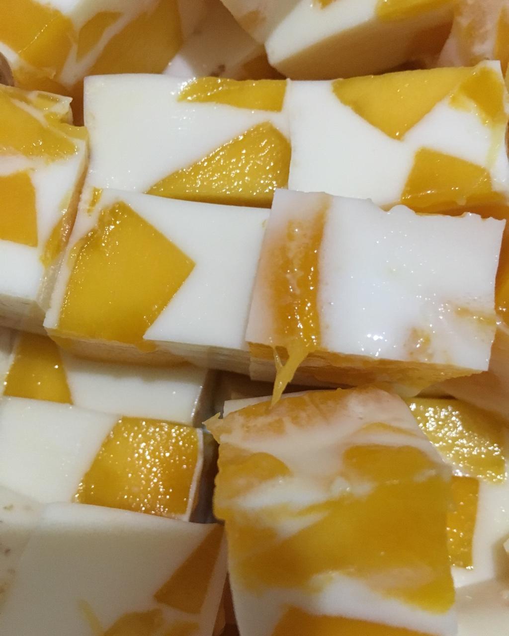 做的芒果牛奶布丁